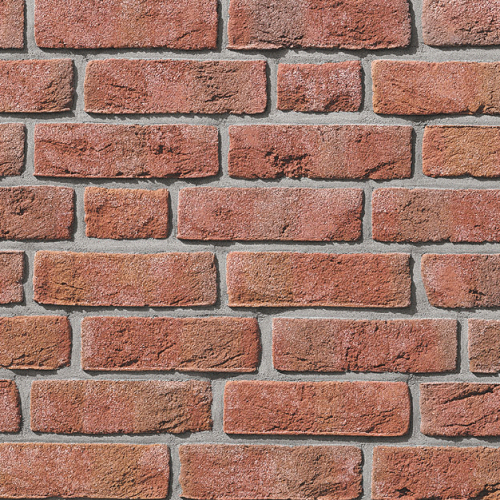    Roben FORMBACK hellrot-bunt NF (240x14x71)   -   